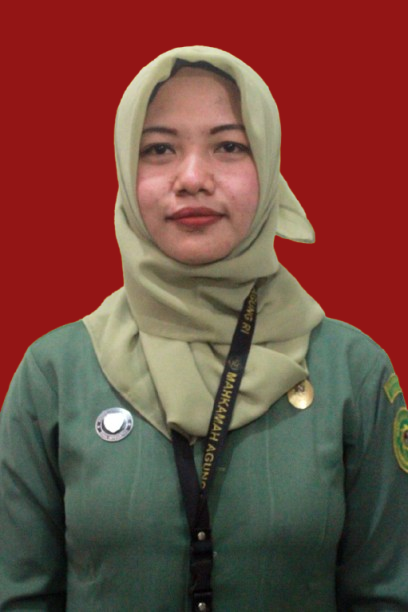 Nisa
