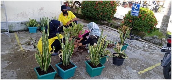 PA Pulang Pisau Percantik Halaman Kantor Dengan Tanaman Hias