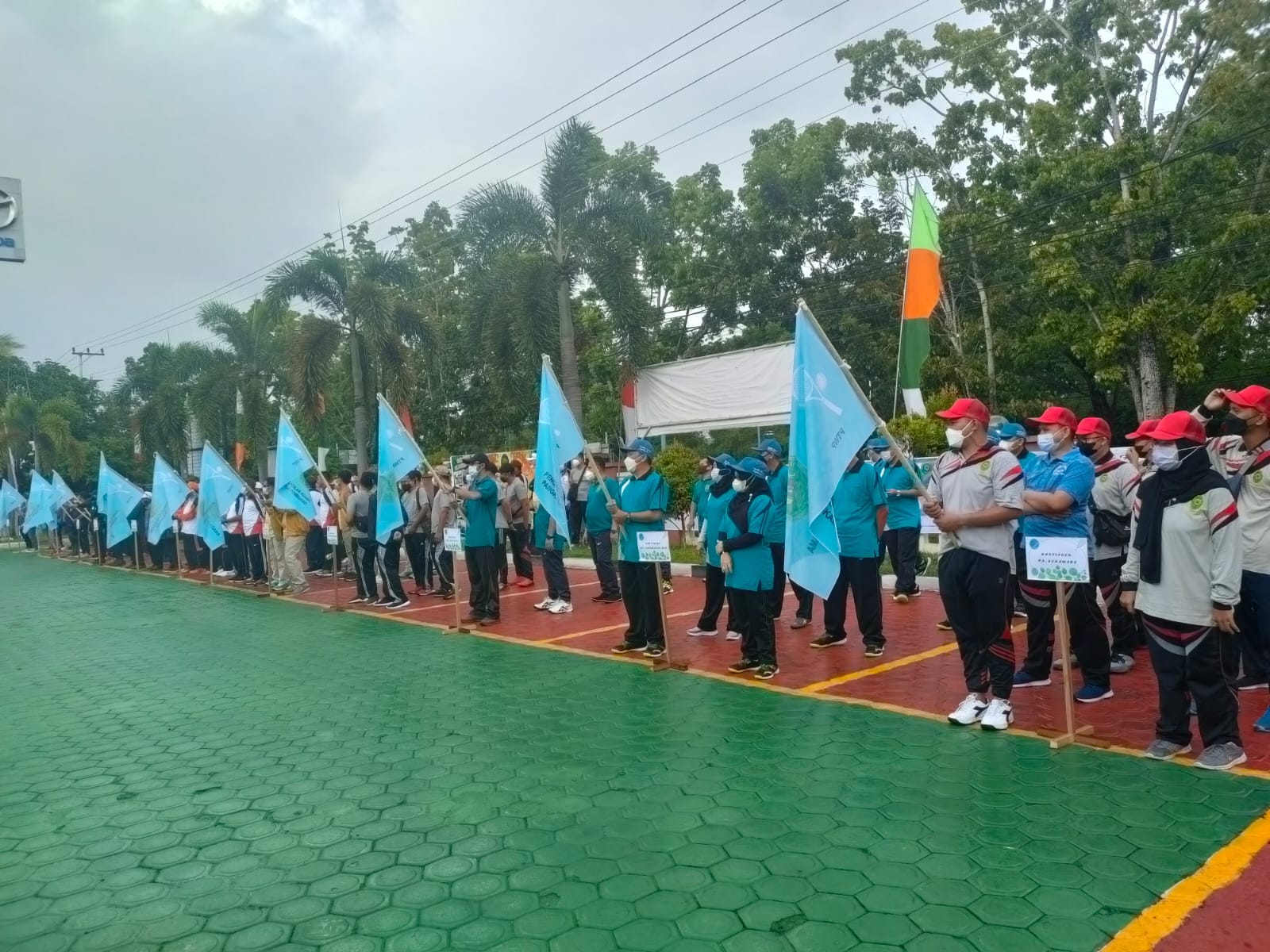 pembukaan ptwp 3