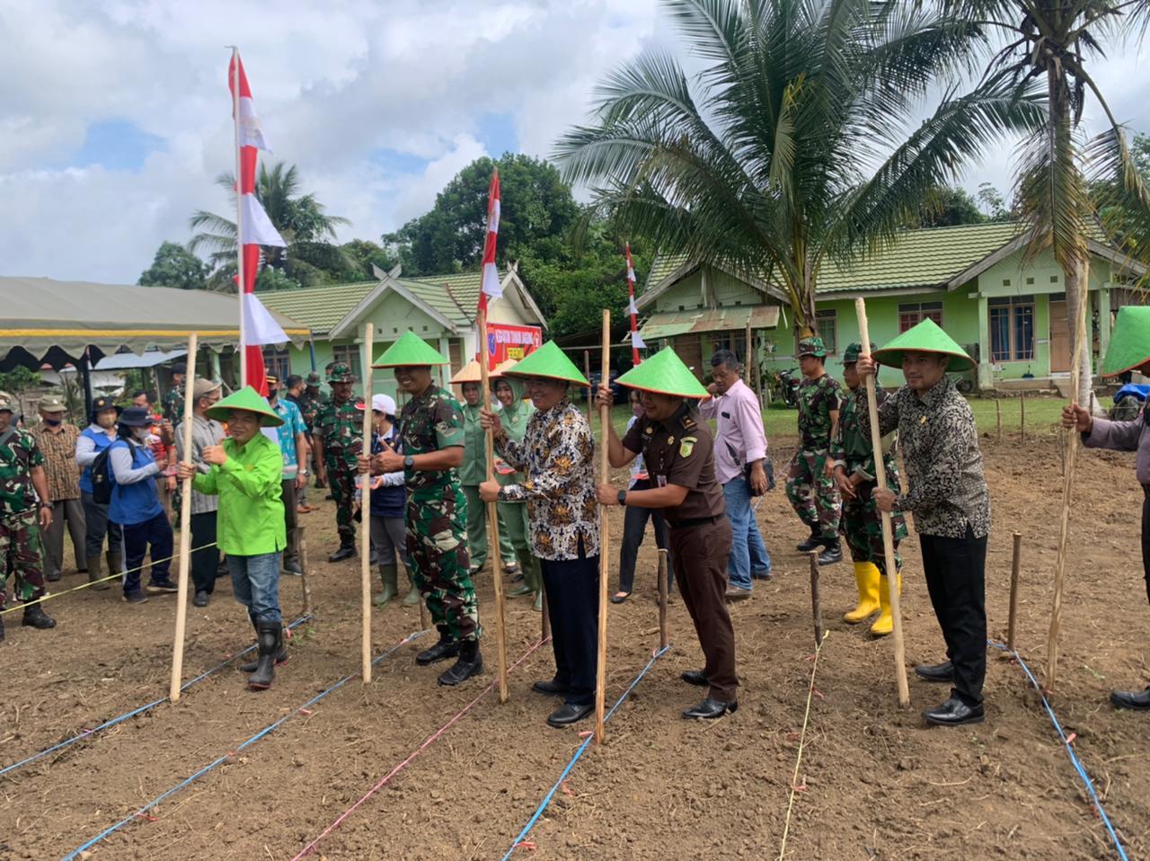 Tanam Jagung, PA Tamiang layang Ikut berpartisipasi dalam Swasembada Ketahanan Pangan