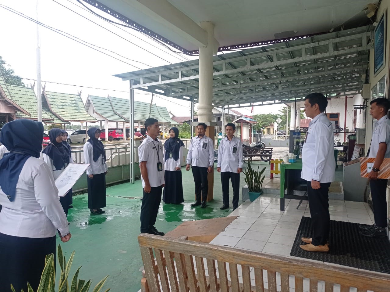 apelsenin06022023
