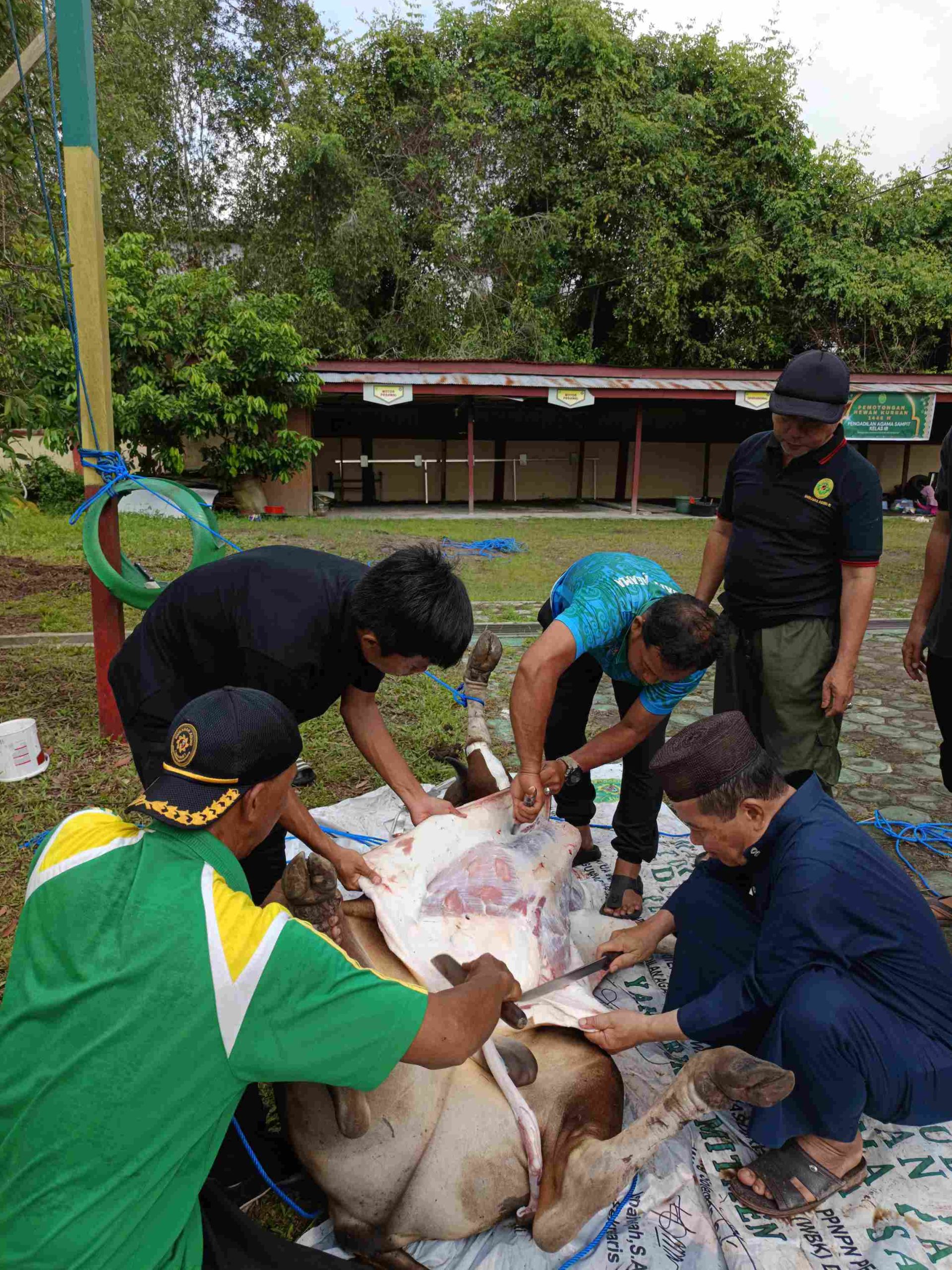 257. Penyembelihan Hewan Qurban di Pengadilan Agama Sampit Kelas IB